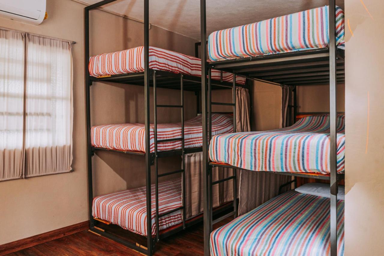 Shambalam Hostel トゥルム エクステリア 写真