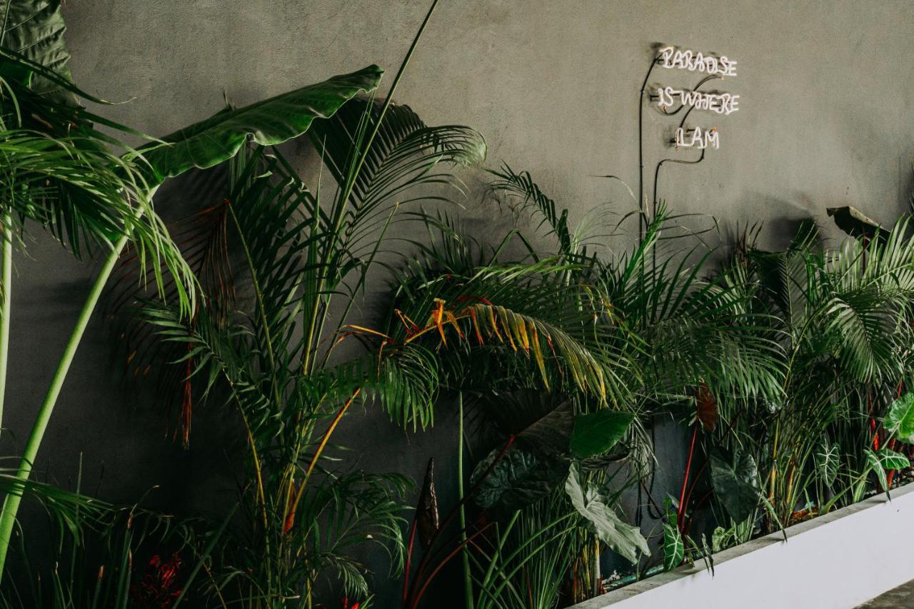 Shambalam Hostel トゥルム エクステリア 写真