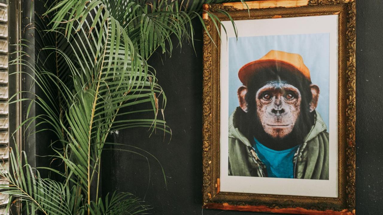 Shambalam Hostel トゥルム エクステリア 写真