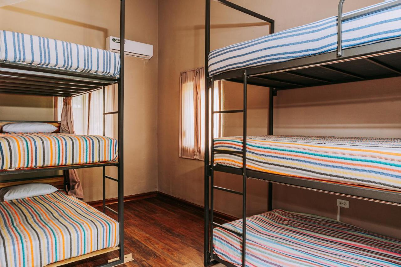 Shambalam Hostel トゥルム エクステリア 写真